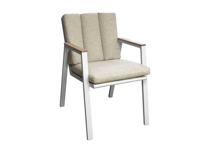 Fauteuil Leather