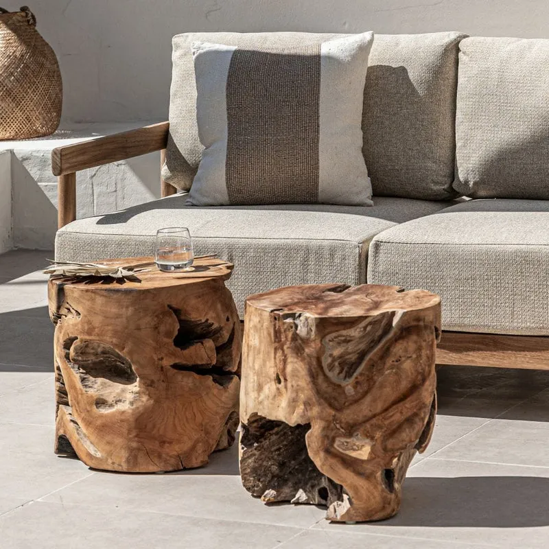 Root Stool