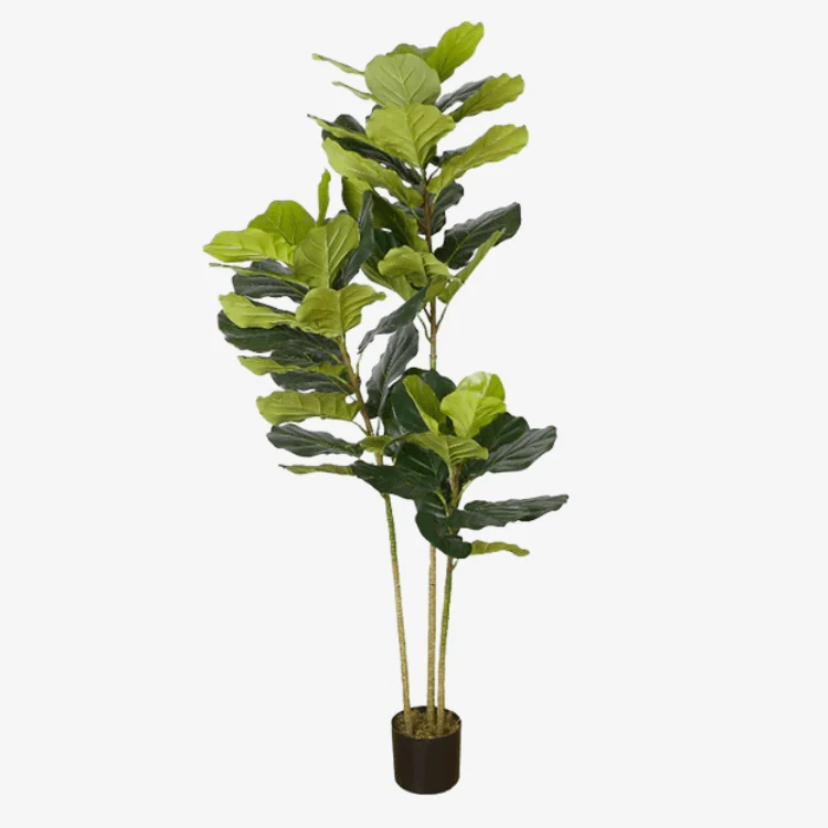 Planta Ficus artificial H175