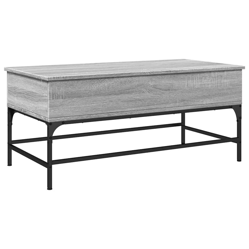 Table basse avec compartiment de rangement 100 x 50 x 45 cm bois d'ingénierie gris et métal DEC039954