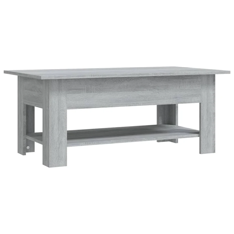 Table basse avec étagère inférieure forme rectangulaire design minimaliste 102 x 55 x 42 cm bois d'ingénierie gris DEC039995