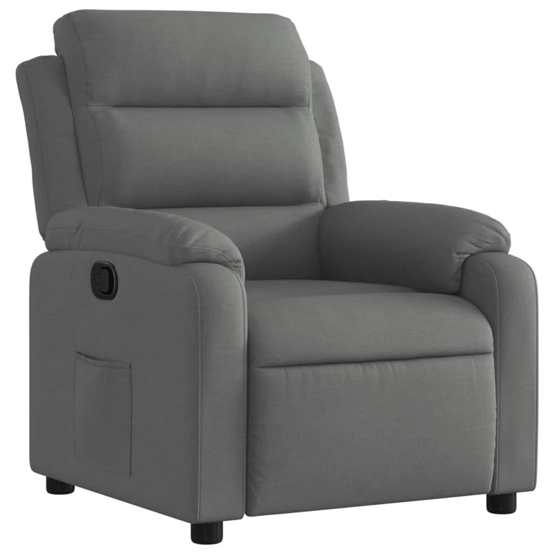 Fauteuil relax TV rembourrage confortable fonction d'inclinaison manuelle en tissu gris DEC027958