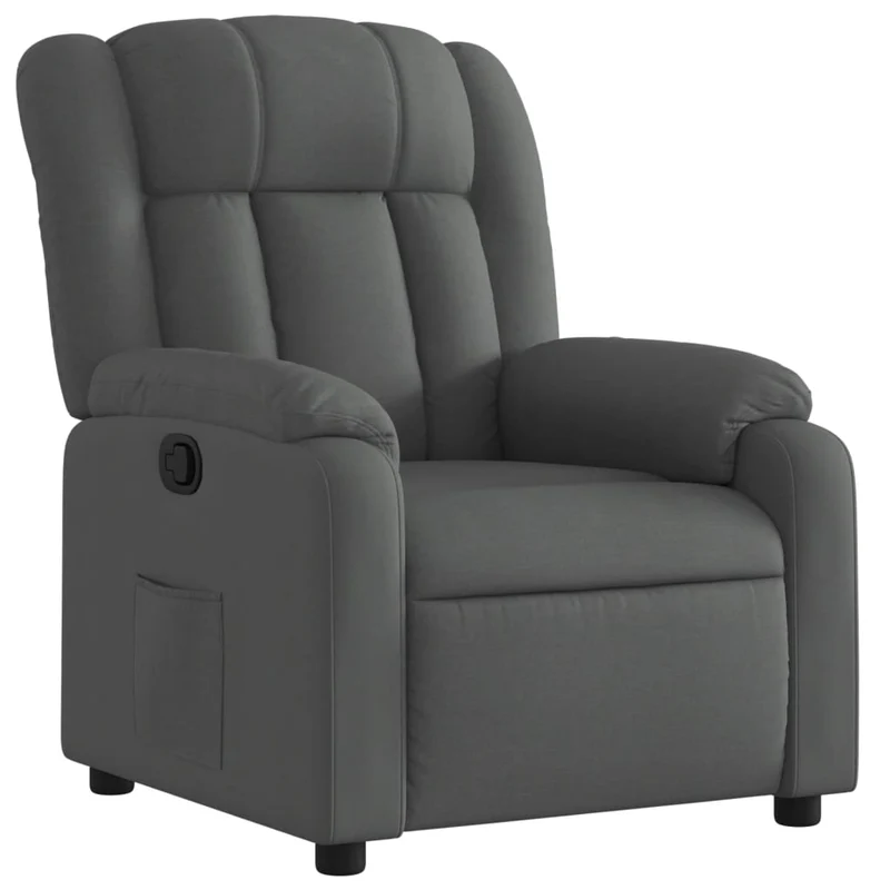 Fauteuil relax TV rembourrage confortable fonction d'inclinaison manuelle en tissu gris foncé DEC027937